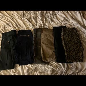 Women’s Size 12 Jeans Bundle